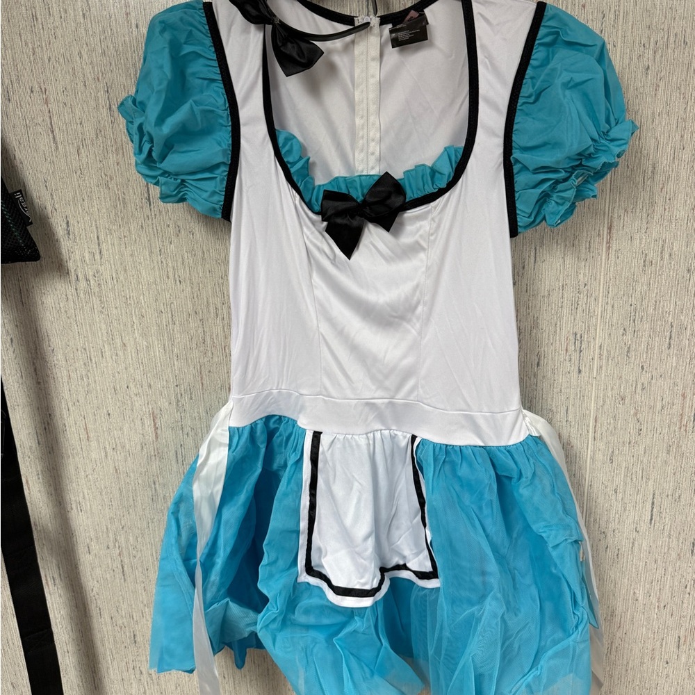 Women’s ALICE IN WONDERLAND Costume M/L